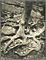 Tree Roots, St-Cloud / Atget