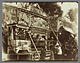 Animal Circus / Atget