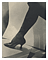 Dorothy True / Stieglitz