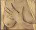 Georgia O'Keeffe / Stieglitz