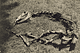 Ruin (B) / Alvarez Bravo