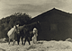Threshing / Alvarez Bravo