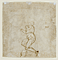 Verso: Study for Thomas