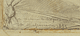 Inscription