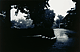 Mississippi / Eggleston