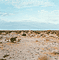 Isolated House / Divola