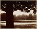 Saint-Cloud / Atget