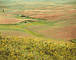 Streambed / Beahan & McPhee