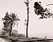 Edge of San Timoteo / R. Adams