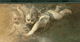 Putto on top
