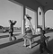 West Edge, Denver / R. Adams