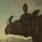 Past Exhibitions / Conservation of Jean-Baptiste Oudry's Rhinoceros Painting