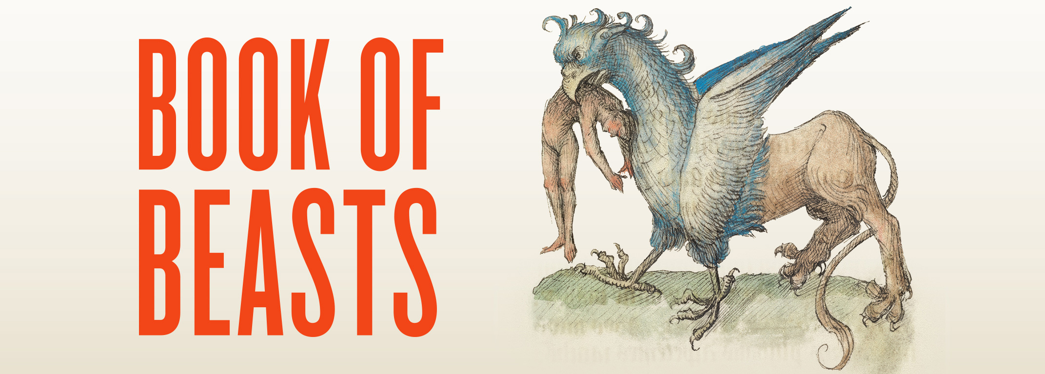 Ants A Book of Creatures