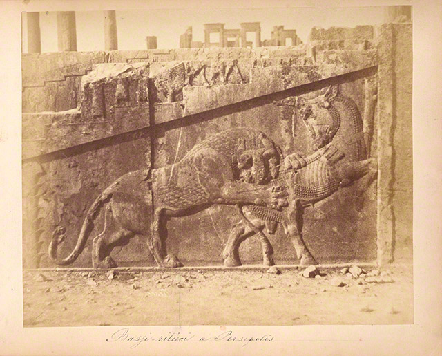 Achaemenid Relief with a Lion Attacking bull