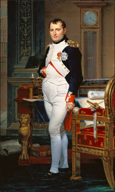 The Emperor Napoleon / David