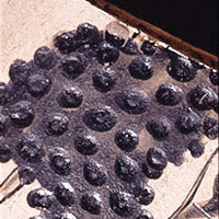 Close-up of an added-clay detail under low-power microscopy