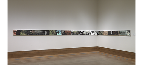 Installation View: Spill, 2009, Liza Ryan, inkjet prints with india ink and graphite. The J. Paul Getty Museum. Gift of Manfred Heiting in honor of Hanna Wise Heiting. © Liza Ryan