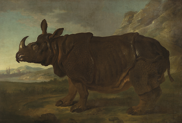 Rhinoceros / Oudry
