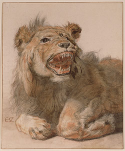 A Lion Snarling / Saftleven