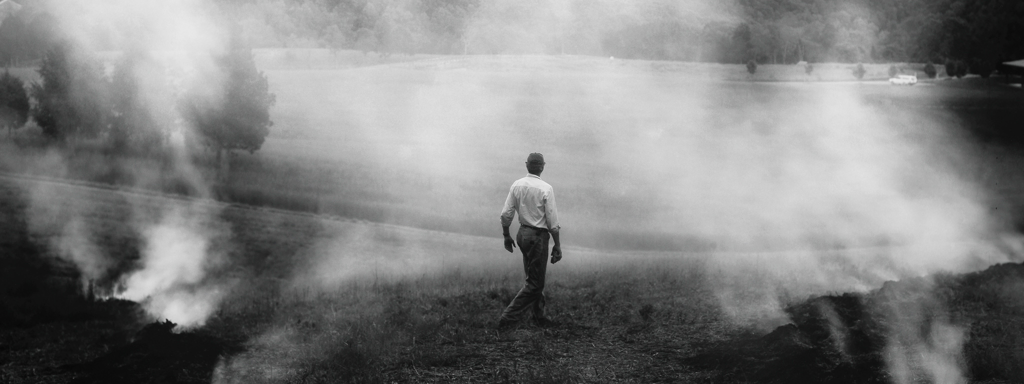 The Turn (detail), 2005, Sally Mann, gelatin silver print. Private collection. © Sally Mann