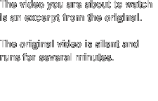 Viola video instructions