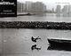 Picture Mumbai