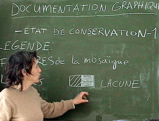 conservation image