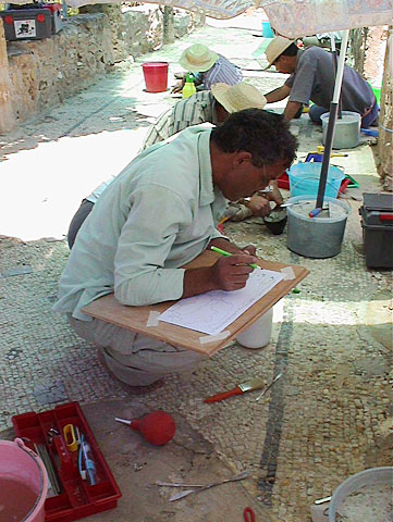 conservation image