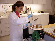 conservation image