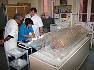 conservation image