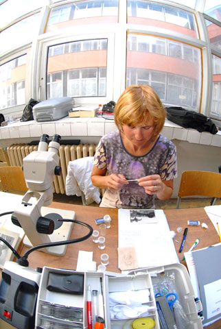 class work - Conservation of Photos