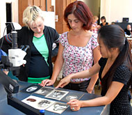 class work - Conservation of Photos