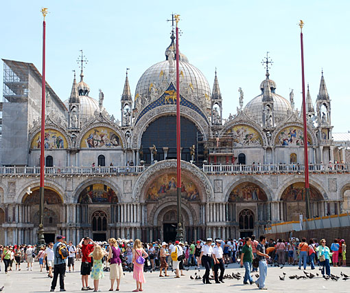 conservation image