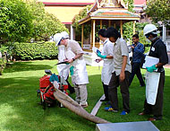 conservation image
