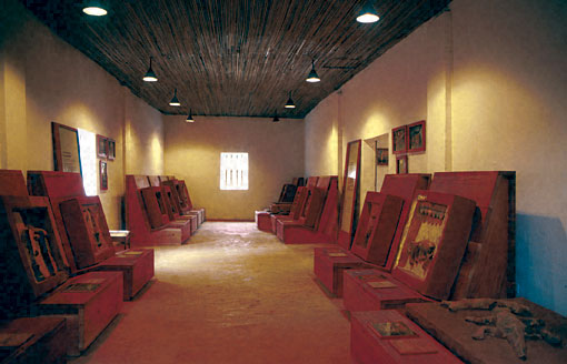 Conservation image