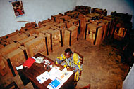 Conservation image