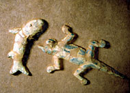 Conservation image