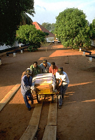 Conservation image