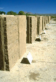 Conservation Image