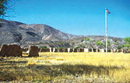 Conservation Image