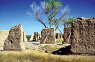 Conservation Image