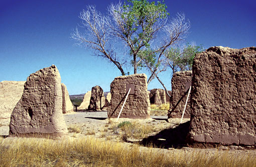 Conservation Image