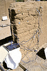 Conservation Image