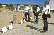 Conservation Image
