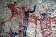 Conservation Image