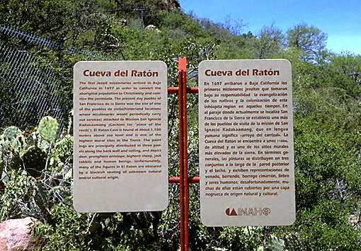 Conservation Image