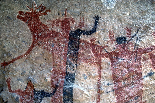Conservation Image