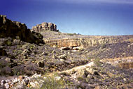 Conservation Image