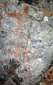 Conservation Image