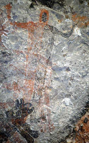 Conservation Image
